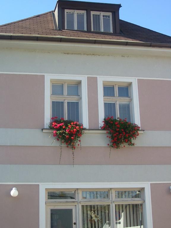 Penzion Orchidea Opočno Exterior foto