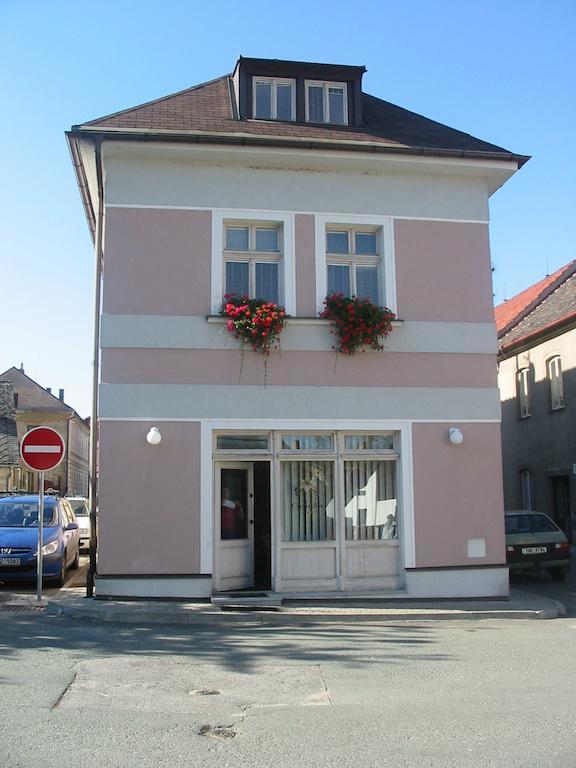 Penzion Orchidea Opočno Exterior foto